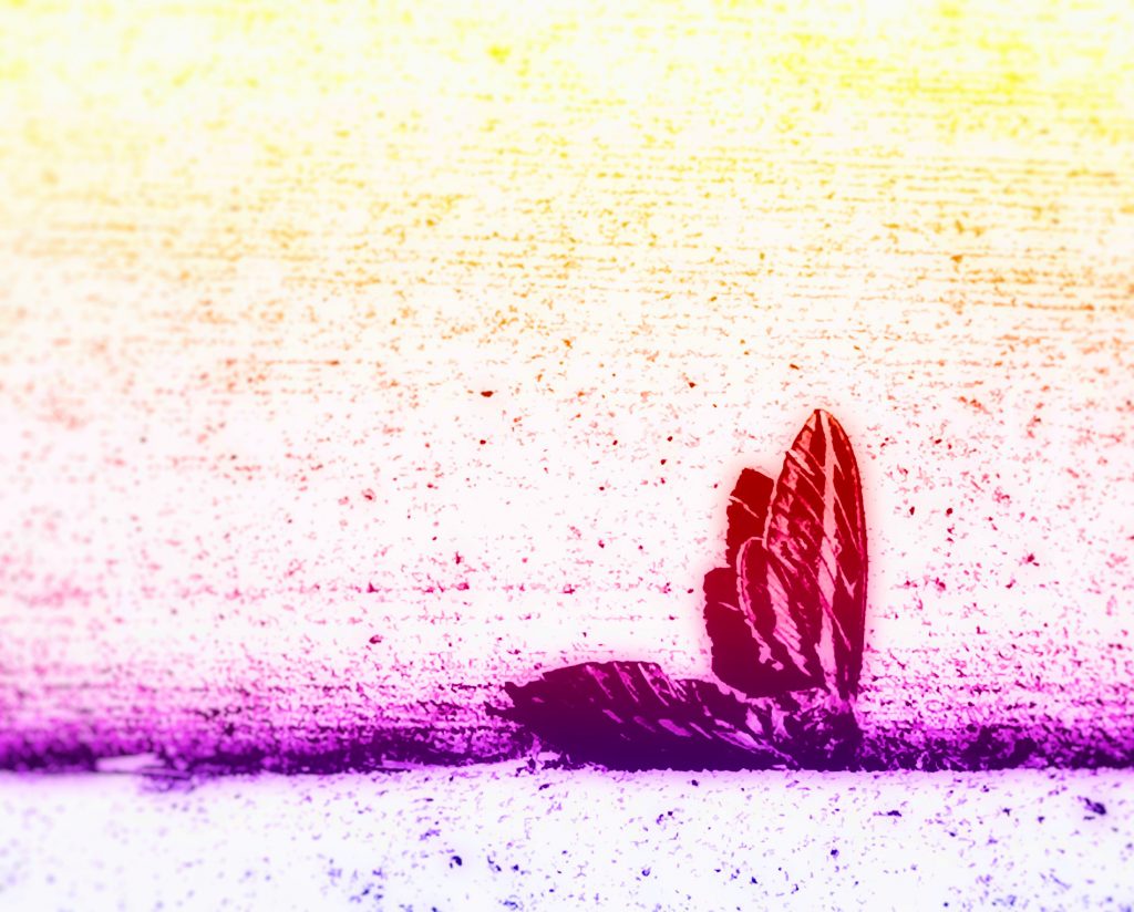 And in Fragments, I Take&nbsp;Flight